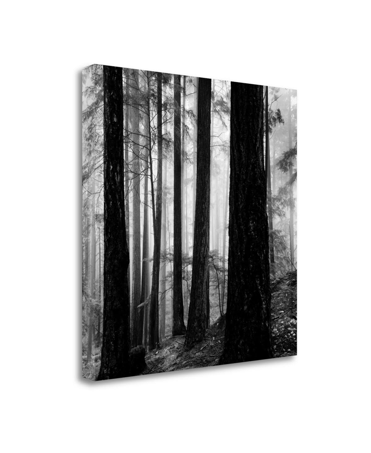 Giclee Print R370