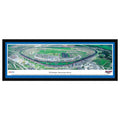 NASCAR Print D194